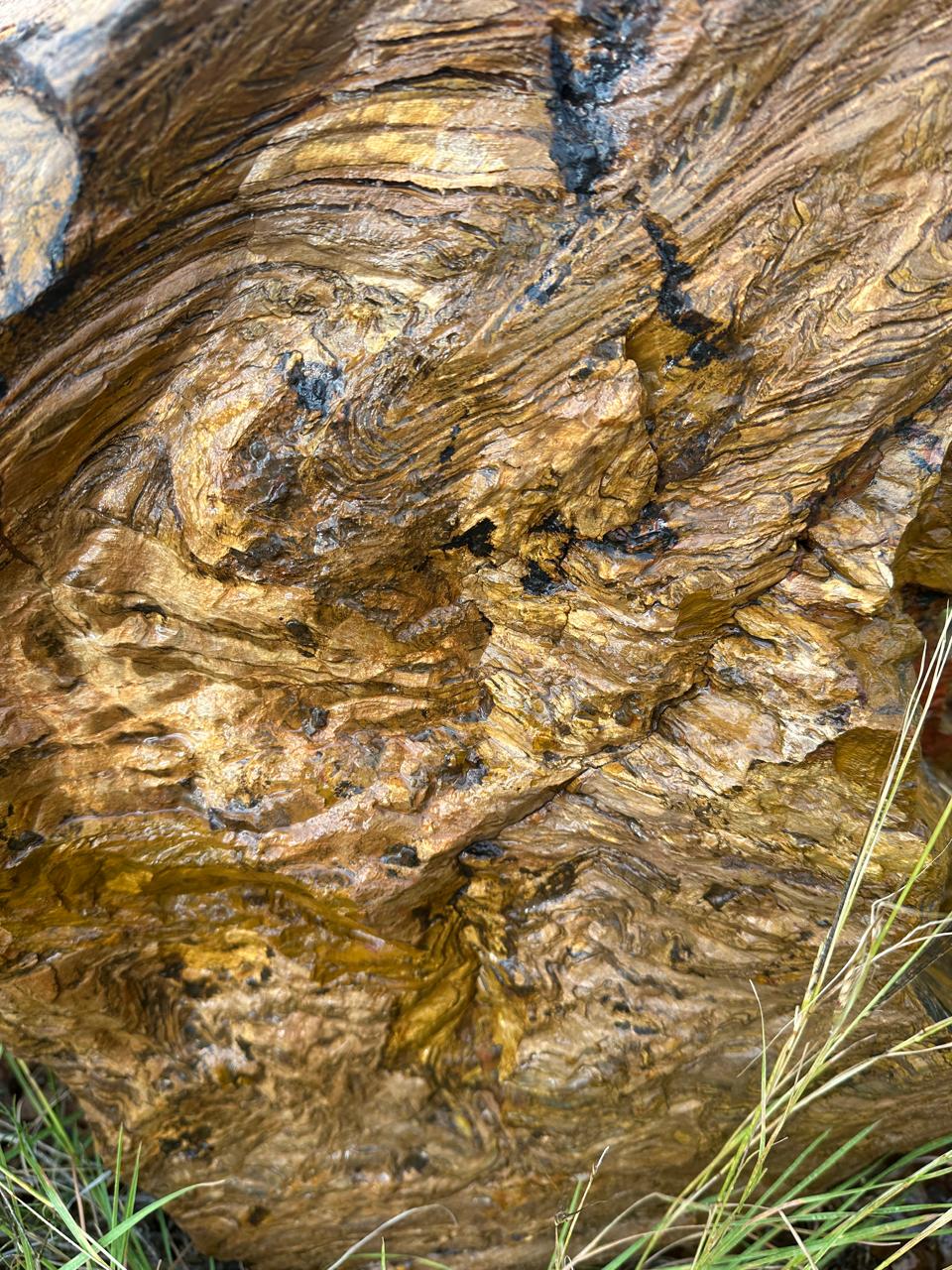 Tiger Iron